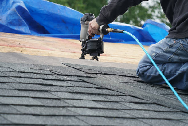 Roof Gutter Cleaning in Camp Pendleton South, CA